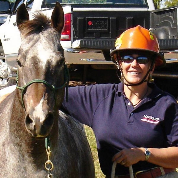 Dr. Rebecca Gimenez: Barn Fire Issues & Mitigation – Best Horse ...